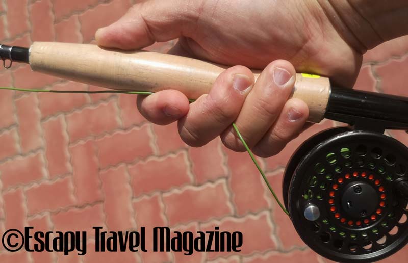 The Angler Magazine, The Angler, The Asian Angler, Berkley fishing, fly fishing, casting a fly, fly casting, fishing tips, how to cast flies, fly cast, casting flies, how to fly fish,