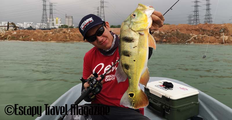 The Angler Magazine, The Angler, The Asian Angler, fishing Prima Lake, Prima Lake, fishing in Prima Lake, Tasik Prima, Fishing tasik Prima, Where to fish in Selangor, where to fish, where to fish in Puchong, fishing in Malaysia