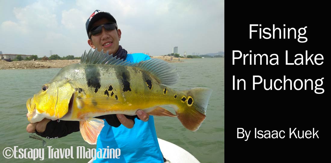 The Angler Magazine, The Angler, The Asian Angler, fishing Prima Lake, Prima Lake, fishing in Prima Lake, Tasik Prima, Fishing tasik Prima, Where to fish in Selangor, where to fish, where to fish in Puchong, fishing in Malaysia