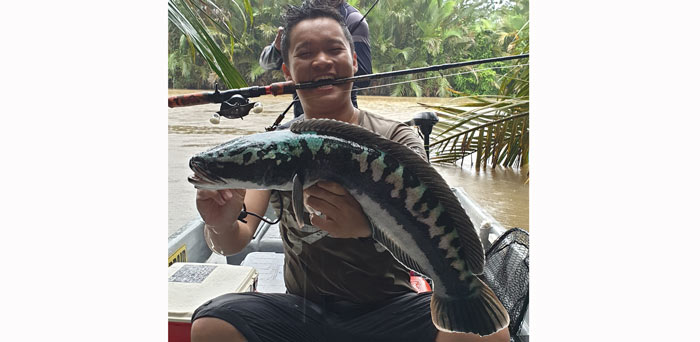 fishing in Malaysia, toman fishing, where to fish in Malaysia, fishing in Kedah, where to fish in Kedah, recommended places to fish in Malaysia, recommended places to fish in Kedah, recommended places to fish, places to fish