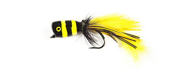 The Angler Magazine, The Angler, The Asian Angler, Berkley fishing, fly fishing, casting a fly, fly casting, fishing tips, how to cast flies, fly cast, casting flies, how to fly fish, types of flies, types of flies for fly fishing,