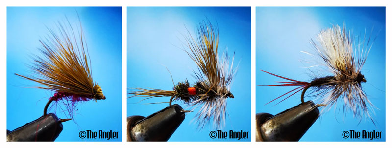 The Angler Magazine, The Angler, The Asian Angler, Berkley fishing, fly fishing, casting a fly, fly casting, fishing tips, how to cast flies, fly cast, casting flies, how to fly fish, types of flies, types of flies for fly fishing, dry flies, dry fly