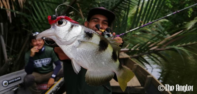 fishing black bass, black bass fishing tips, where to fish black bass in malaysia, fishing black bass in malaysia, black bass in sabah, black bass, fishing in sabah, where to fish in sabah, fishing in malaysia, recommended places to fish in malaysia, recommended places to fish in sabah