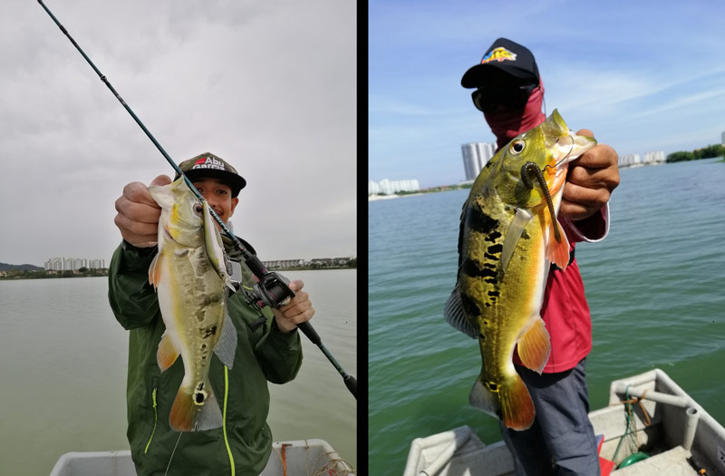 fishing tips, fishing lessons, free fishing tips, free fishing lessons, fishing guides, fish are not biting, what to do when fish don't bite, fishing tricks, ticks to catch more fish, tips to catch more fish