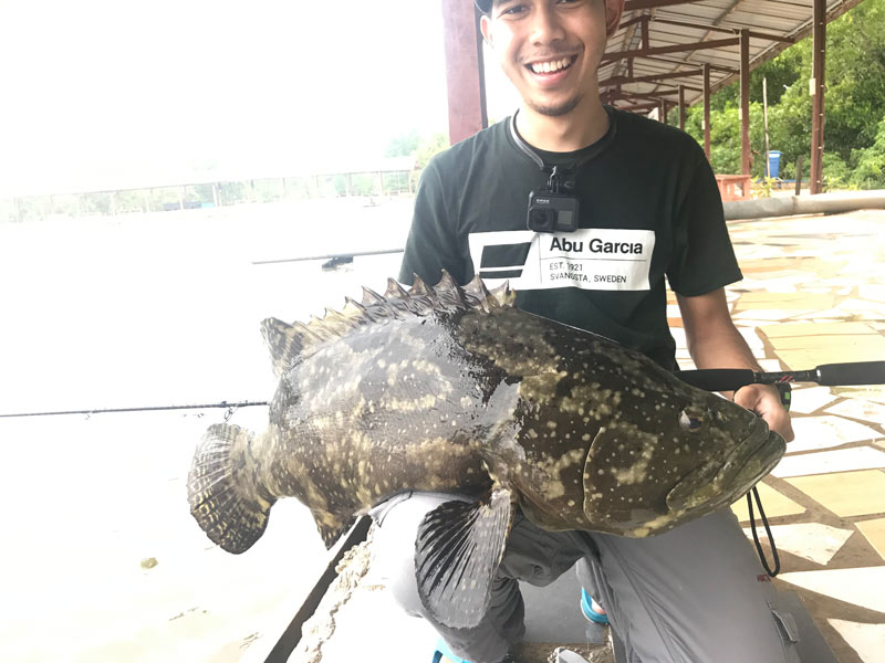 85: Pond Fishing for Groupers in Sabah - The Angler