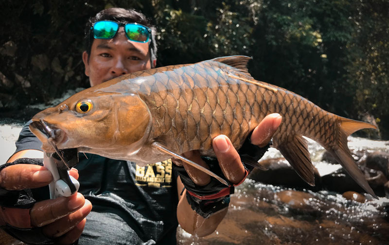 the angler magazine, the angler mag, the angler, the angler asia, The Asian Angler, Asian Angler, angling magazine, fishing magazines malaysia, malaysia fishing magazine, fishing in Sabah, tagging fish, fishing in Kiulu Sabah, fishing in Kiulu, fishing programs, fish conservation,