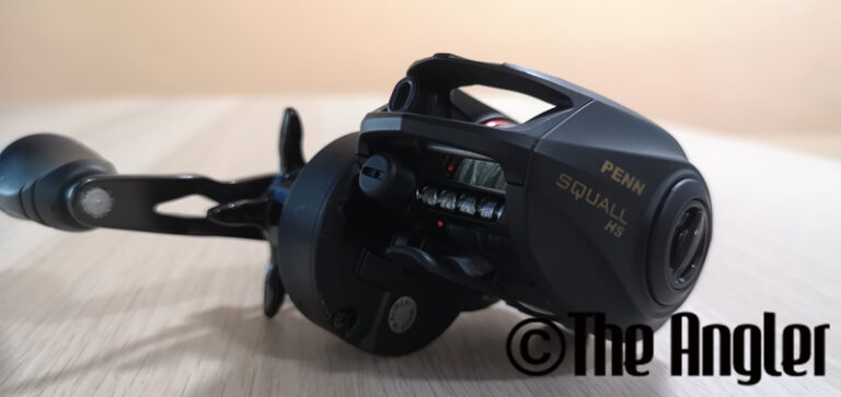 Carrete PENN Squall De Perfil Bajo De Baitcasting - Stone Mountain Outdoors