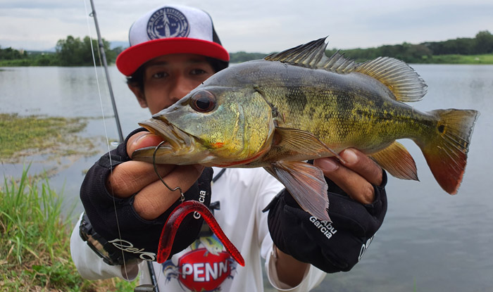 fishing in malaysia, clearwater sanctuary, fishing clearwater sanctuary, clearwater sacntuary perak, where to fishing in malaysia, places to fish in malaysia, the angler magazine, the angler, malaysia fishing magazine, fishing magazine malaysia