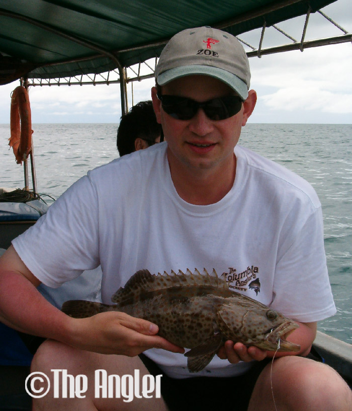 Fishing groupers, how to fish groupers, fishing for groupers, grouper fish, do groupers take soft baits, do groupers take lures, tips on fishing groupers, fishing tips, grouper fishing tips, fishing groupers with soft baits, how to use soft baits, soft baits fishing tips, soft plastic fishing tips, soft plastic lure tips,