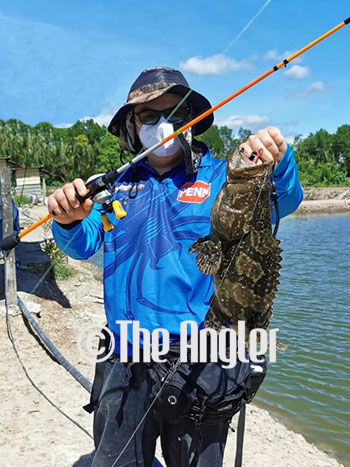 Fishing groupers, managing the fight, how to fish groupers, fishing grouper tips, tips for grouper fishing, fishing groupers with soft baits, fishing groupers on lures, the angler magazine