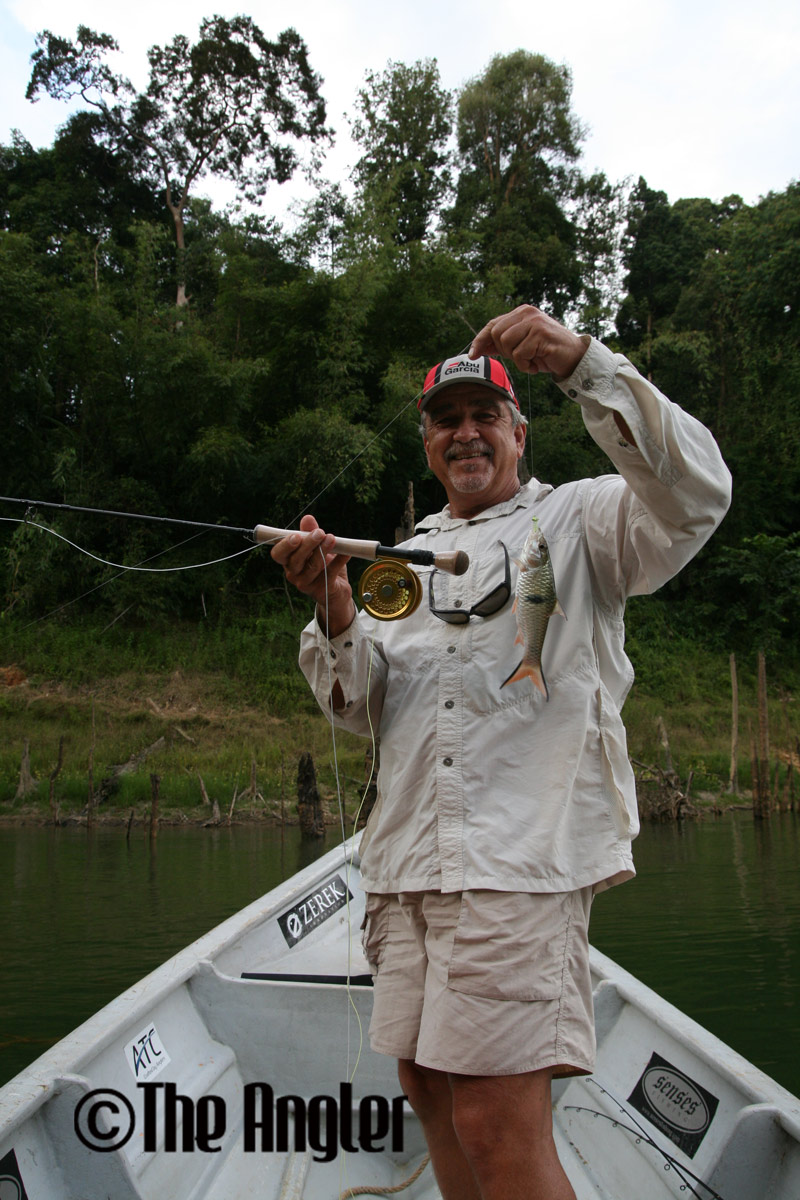 fly casting, fly fishing Malaysia, fly casting, how to fly, how to fly cast, how to cast flies. How to fly fish, fly fishing tips, fly fishing asia, where to fly fish, where to fly fish in asia, where to fly fish in Malaysia, the angler, the fly angler, fly angler, fly fishing, fly fishing spots malaysia