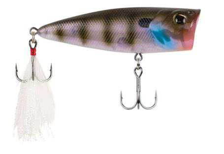 berkley lures, berkley bullet pop, berkley bullet pop review, berkley malaysia, berkley singapore, berkley fishing asia