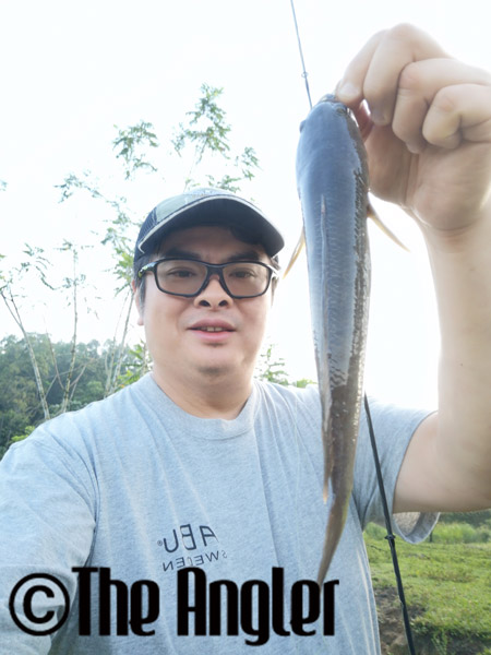 snakehead fishing, haruan fishing, how to catch haruan, how to catch snakehead, how to fish snakeheads, where to fish snakeheads, snakeheads in Malaysia, fishing snakeheads in Malaysia, where to fish in Malaysia, best fishing spots in Malaysia, snakehead fishing tips asia