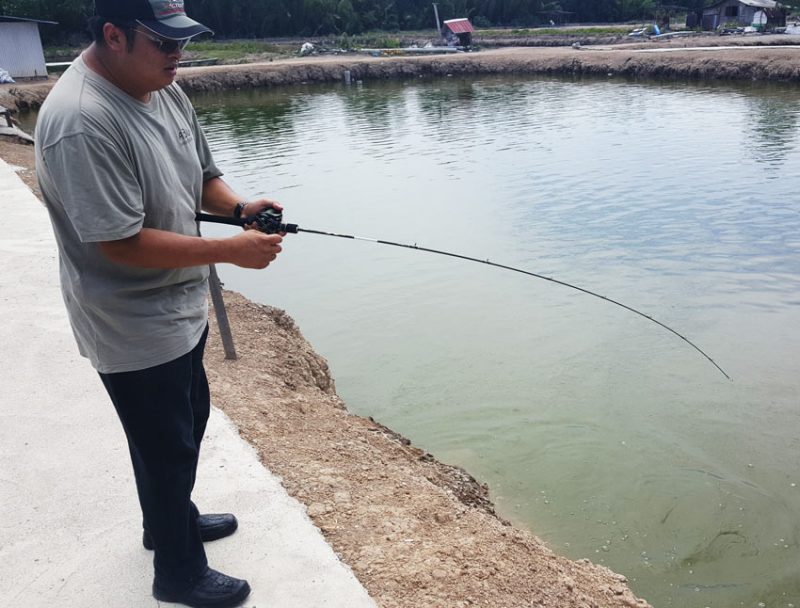 Fishing malaysia, baitcasting techniques, how to cast a baitcasting reel, how to baitcast, how to use a low profile reel, how to do baitcasting, baitcasting methods,