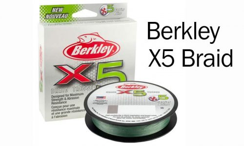 berkleyX5