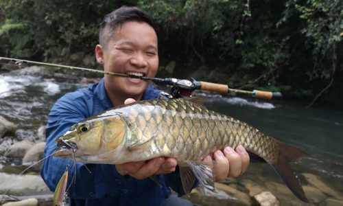 fishing tips, lure fishing tips, pond fishing tips, the angler magazine, the angler, The Angler, The Angler mag, Asean Angler, The Asian Angler, fishing in Sabah, fishing kelah, fishing pelian, Kiulu, fishing in Kiulu, where to fish, kiulu sabah, kiulu fishing, kelah fishing, where to fish kelah,