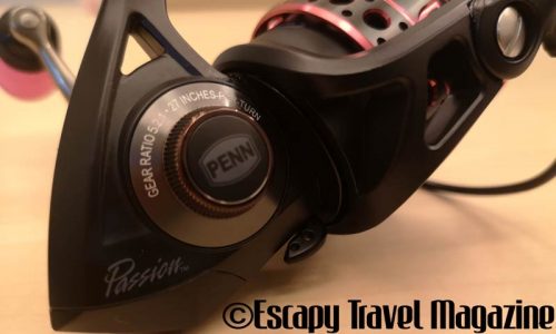 The Angler Magazine, The Angler, The Asian Angler, Penn, Penn fishing, Penn reels, Penn Passion reels, Penn Passion, Penn spinning reels, Penn Passion spinning reels, Penn Passion reel review